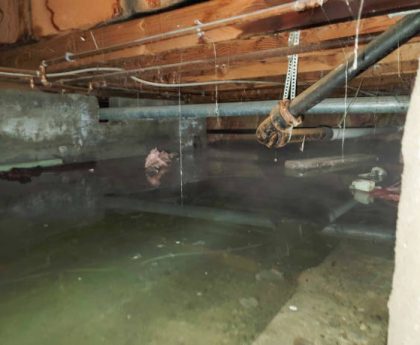 Effective Strategies for Swift Water Damage Restoration