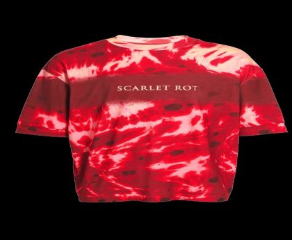 Discovering Unique Finds at Distractible Official Shop: Shop Smarter