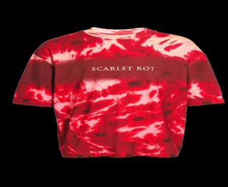 Discovering Unique Finds at Distractible Official Shop: Shop Smarter