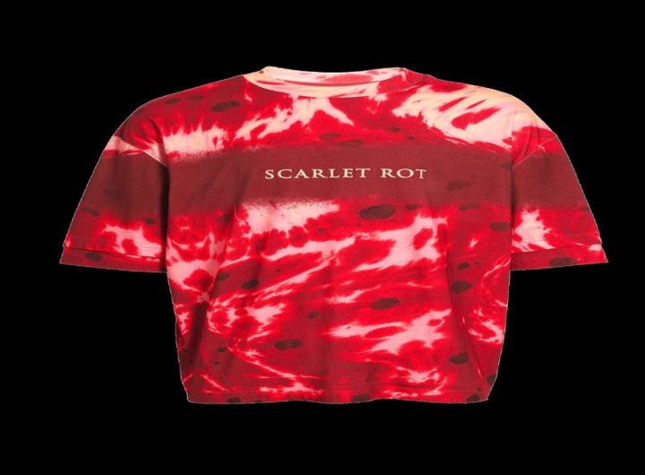 Discovering Unique Finds at Distractible Official Shop: Shop Smarter