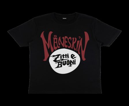 Explore the Ultimate Maneskin shop Collection