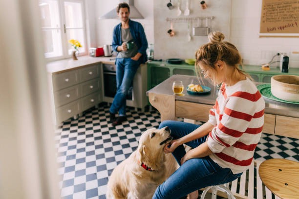 Healthy Living Essentials for a More Active and Balanced Life